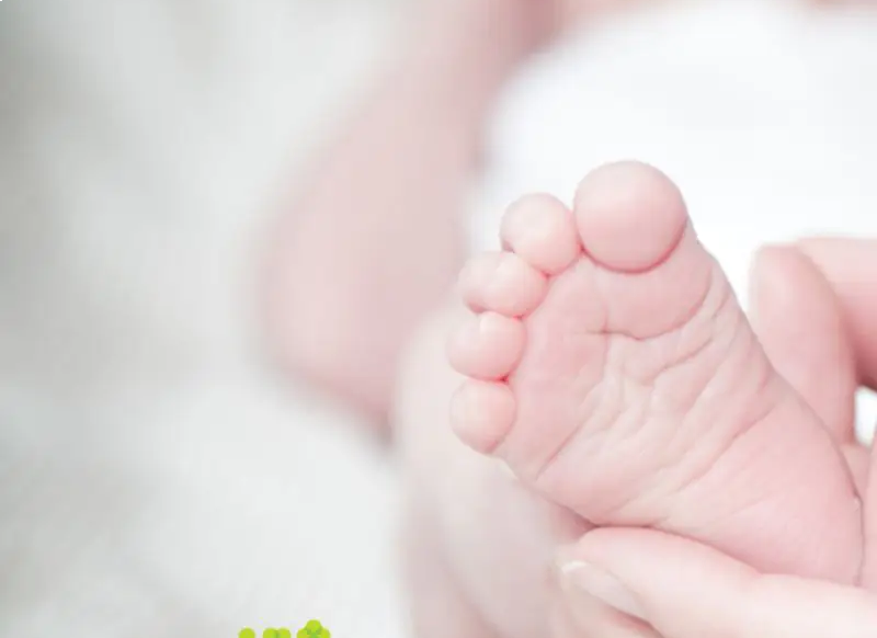 Vaisingumą palaikantys maisto papildai, padėję susilaukti vaikų | Kidsmed